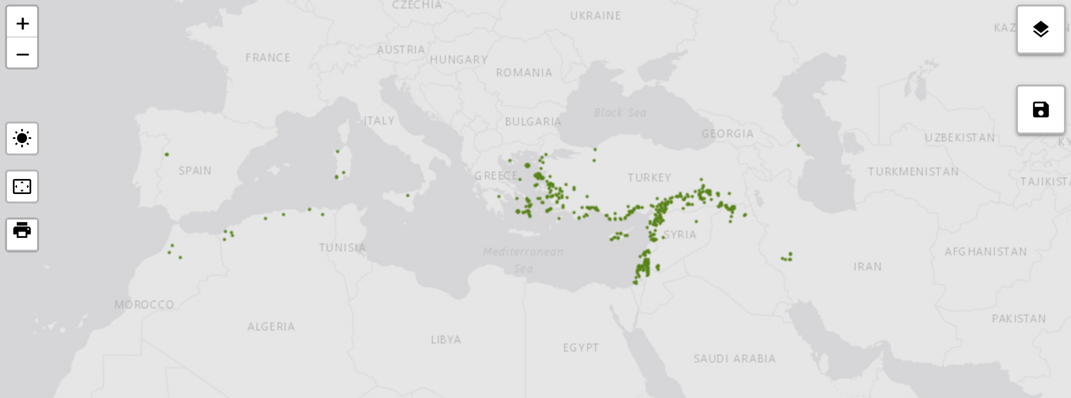 Map showing georeferenced Trifolium spumosum accessions in Genesys