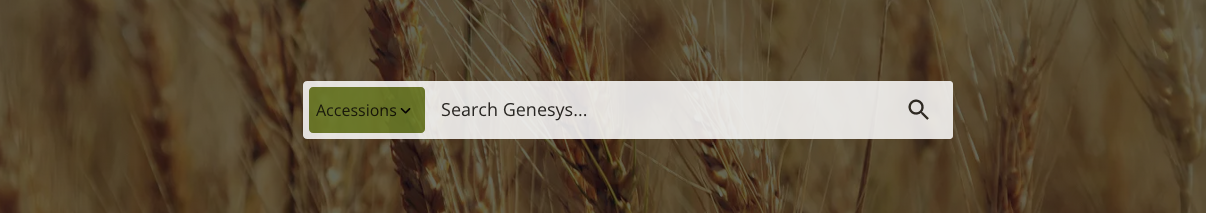 Entry page search